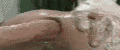 fist