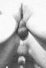cum