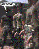 US_ARMY.gif