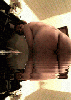 bunda