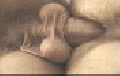 Hard anal closeup
