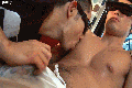 gay2916