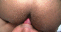 gay2977