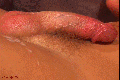 gay3231