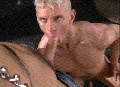 gus4.gif
