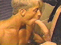 mGIFS_-_Suckin_Cock_-_017.gif